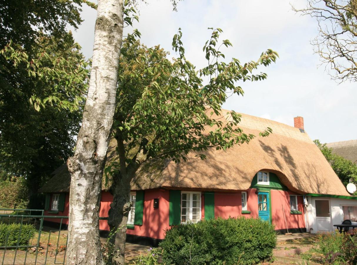 Unterm Rohrdach Lejlighed Wustrow  Eksteriør billede